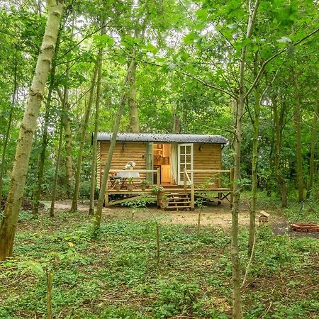 Woodland Retreat Shepherds Hut Villa Brundish Ngoại thất bức ảnh