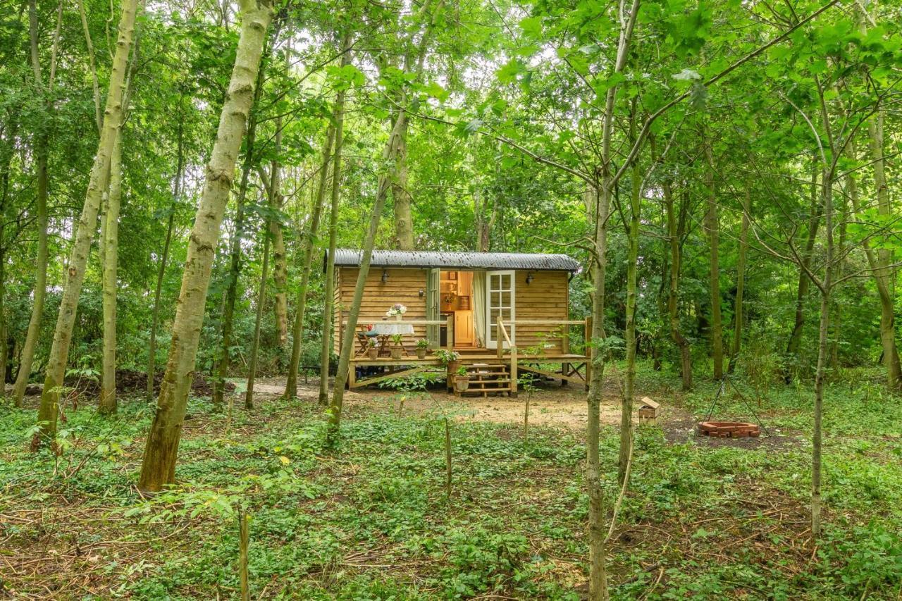 Woodland Retreat Shepherds Hut Villa Brundish Ngoại thất bức ảnh